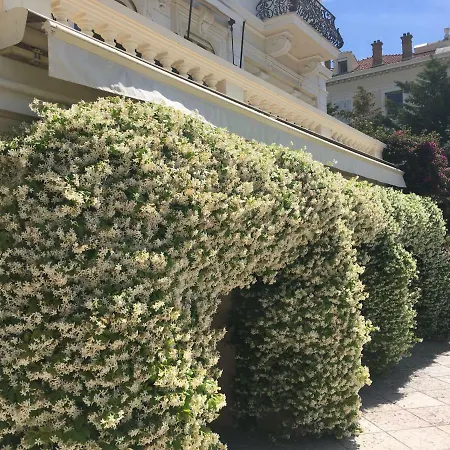 L'abri Villa Cannes